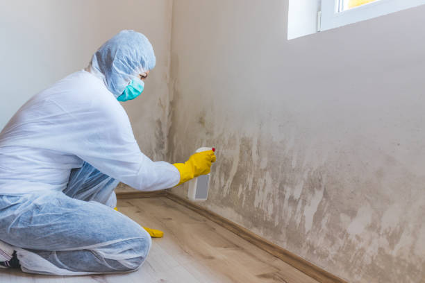 Licensed Mold Cleanup service in Clarksville, TX - WQB Mold Removal