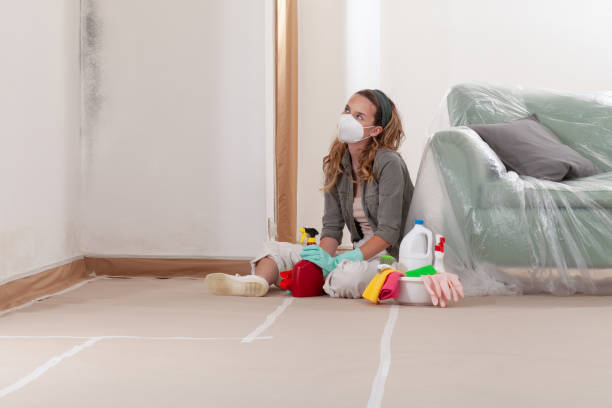 Reliable Mold Cleanup contractor in Clarksville, TX by WQB Mold Removal